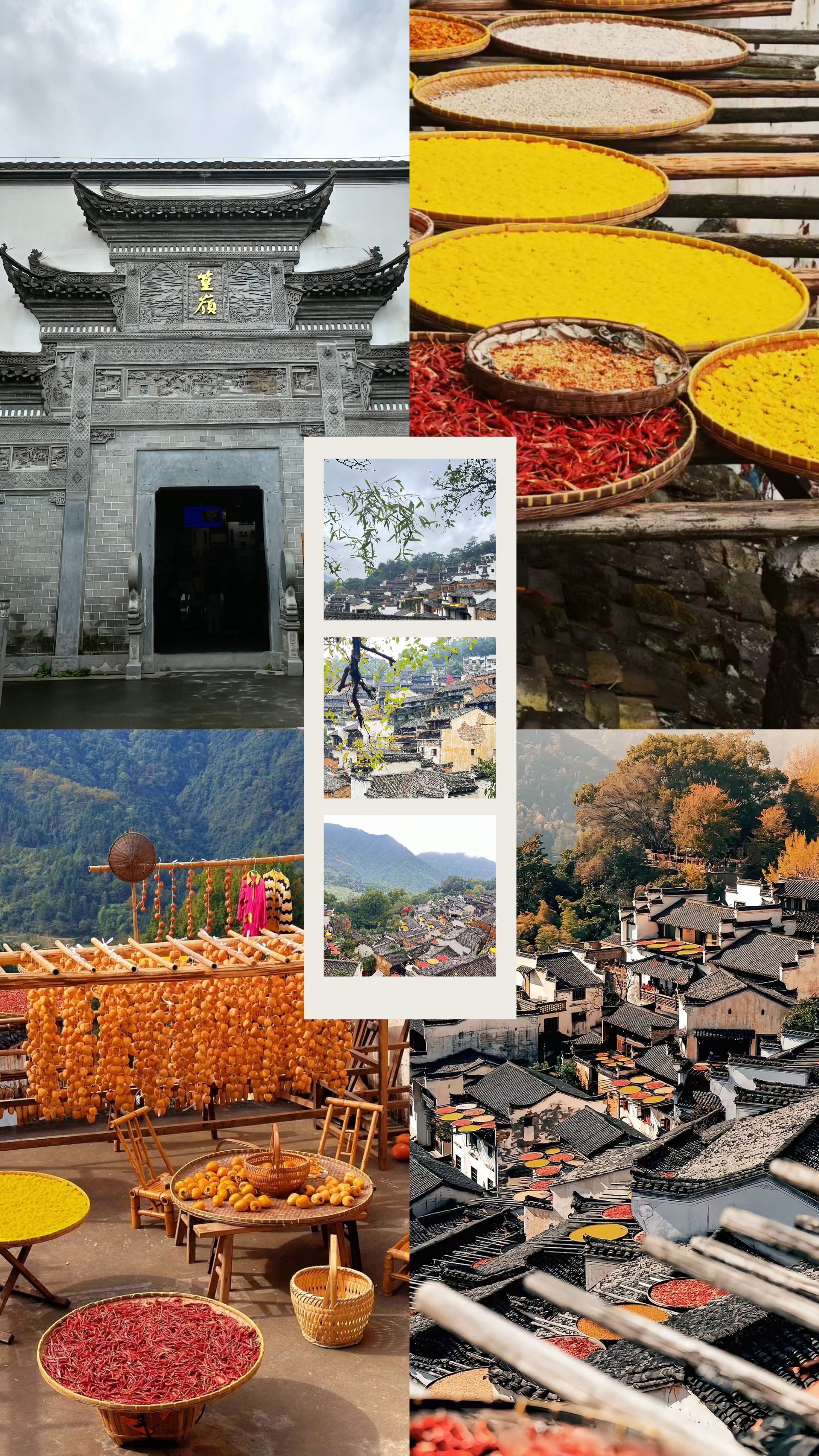 1731475465757609.jpg 1731475465757609.jpg