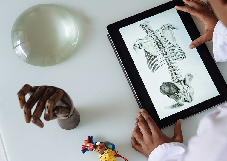 動(dòng)物實(shí)驗(yàn)